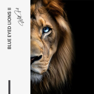 8. Design signature 2