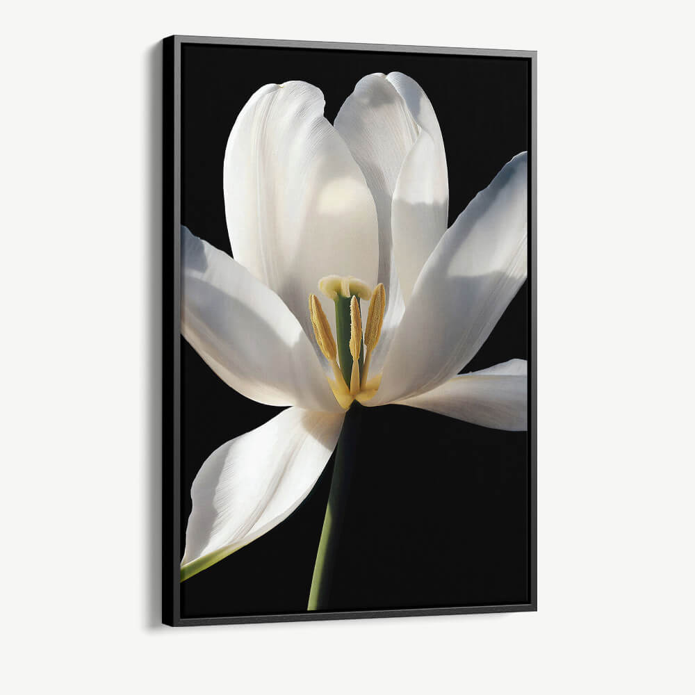 1. Cvas Detail 1 White Flower