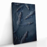 "Crocodiles" – Bild 2