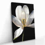 "White Flower" – Bild 2