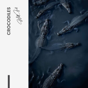 7. Design signature Crocodiles