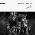 The Lion Family II – Glas – Bild 5