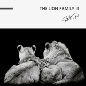 7. Design signature The Lion Family III
