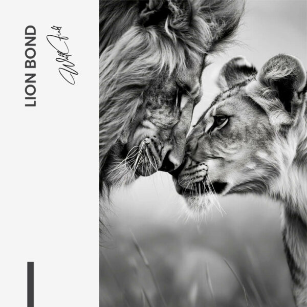 11.-Design-signature-Lion-Bond 11.-Design-signature-Lion-Bond