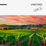 "Vineyard" – Bild 7