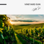 Vineyard Sun – Glas – Bild 5