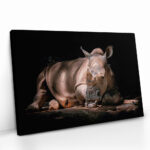 "Rhino" – Bild 2