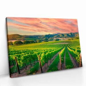 2.-Cvas-Detail-5-Vineyard