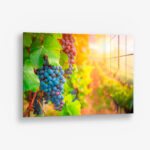 Vineyard Grape – Glas