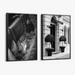 Bündel: "Timeless Elegance" (2x)