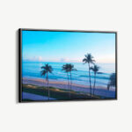 "Palms of Paradise"