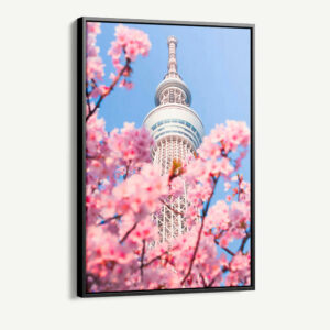1.-Cvas-Detail-1-Tokyo-Skytree