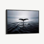 "Whale's Tail"