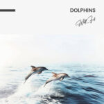 "Dolphins" – Bild 7