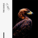 "The Eagle" – Bild 7