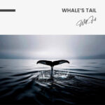 "Whale's Tail" – Bild 7