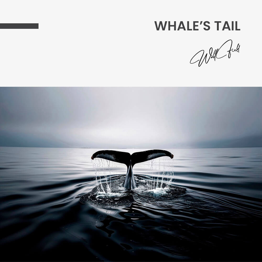 11.-Design-signature-Whale's-Tail
