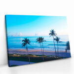 "Palms of Paradise" – Bild 2