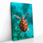 "Sea Turtle VT" – Bild 2