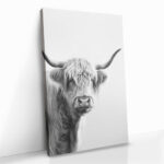 "White Muscox" – Bild 2