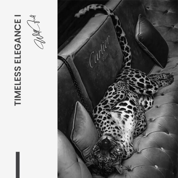 7.-Design-signature-1-Bundle-Timeless-Elegance 7.-Design-signature-1-Bundle-Timeless-Elegance