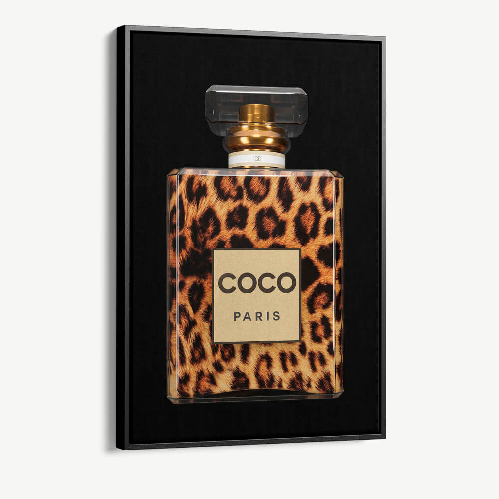 1.-Cvas-Detail-1-COCO-Leo