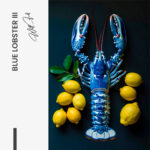 "Blue Lobster III" – Bild 7