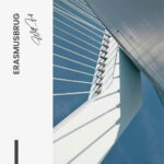 "Erasmusbrug" – Bild 7