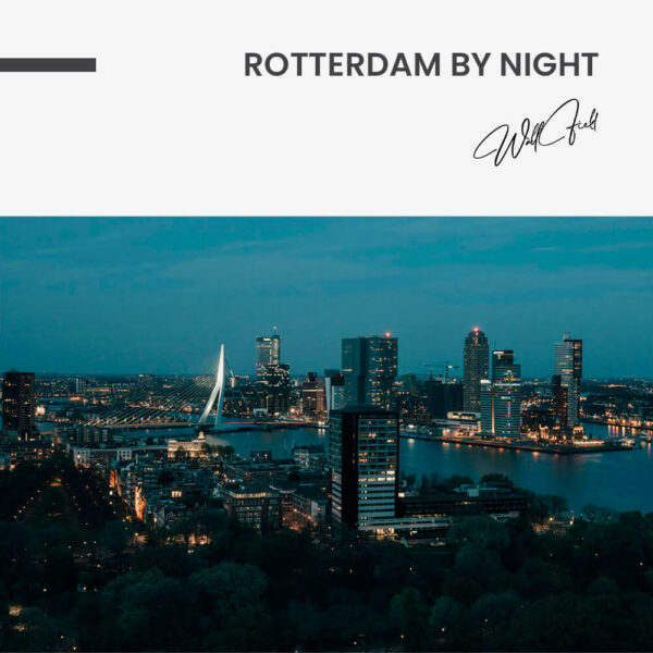 11.-Design-signature-Rotterdam-by-Night