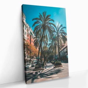 2.-Cvas-Detail-5-Valencia-Summer