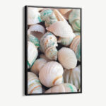 "Sea Shell"