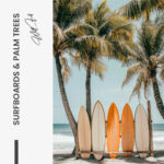 "Surfboards & Palm Trees" – Bild 7