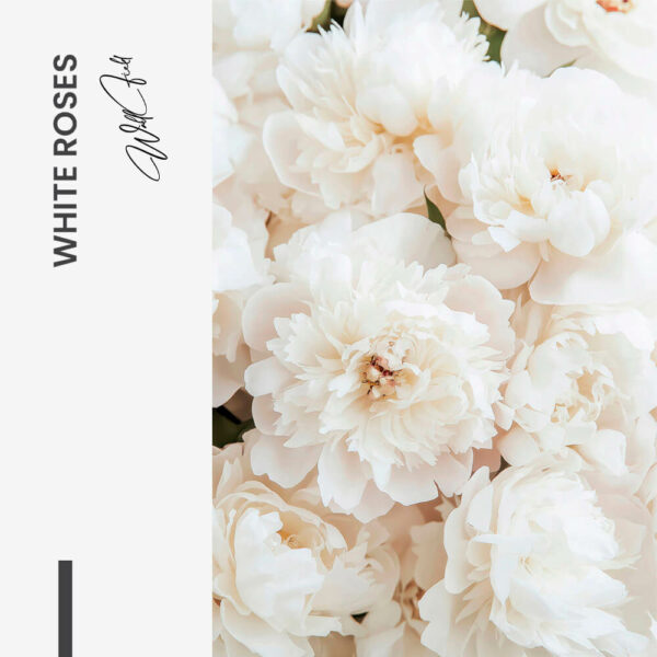 11.-Design-signature-White-Roses 11.-Design-signature-White-Roses