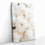 "White Roses" – Bild 2