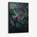 "Tropical Serenade"