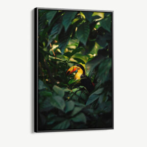 1.-Cvas-Detail-1-Tucan-between-the-Leaves