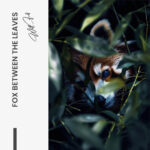 "Fox between the Leaves" – Bild 7
