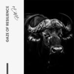 Gaze of Resilience – Glas – Bild 5