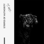 "Stripes of Authority" – Bild 7