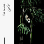 "The Panda" – Bild 7