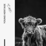 "Young Heritage" – Bild 7