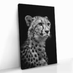 "Cheetah's View" – Bild 2
