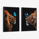 Bündel: "Butterfly Lions" (2x)