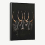 "Majestic Horns"