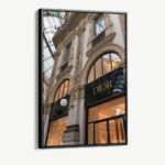 "Parisian Splendor"