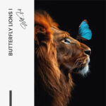 "Butterfly Lion" – Bild 7