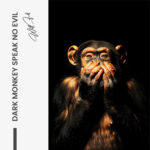 Dark Monkey Speak no Evil – Glas – Bild 4