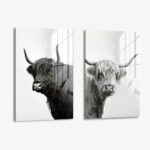 Bündel: "B&W Muscox" (2x) – Glas