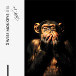 Bündel: "3 Wise Monkeys II" (3x) – Glas – Bild 6