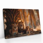 "Lionheart Kin II" – Bild 2